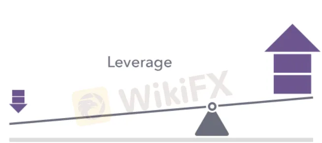leverage 