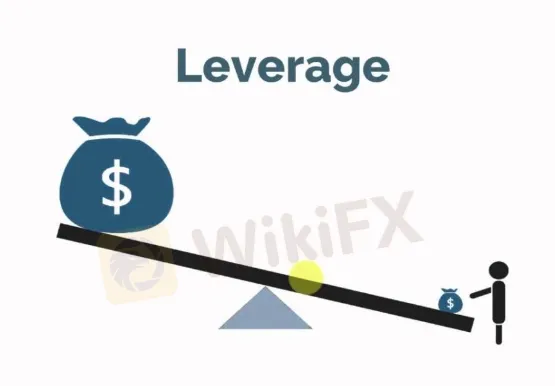 leverage 
