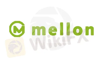 basic-info basic-info