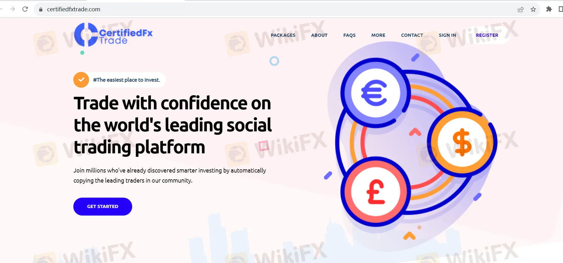 basic-info basic-info