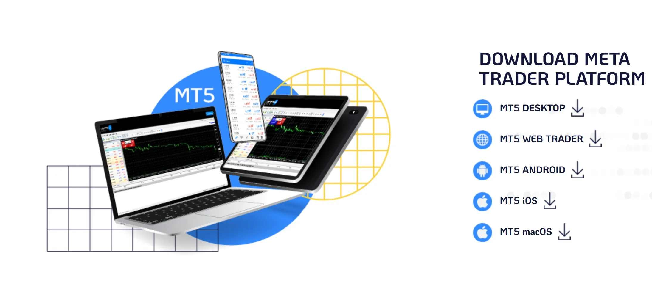 MT5