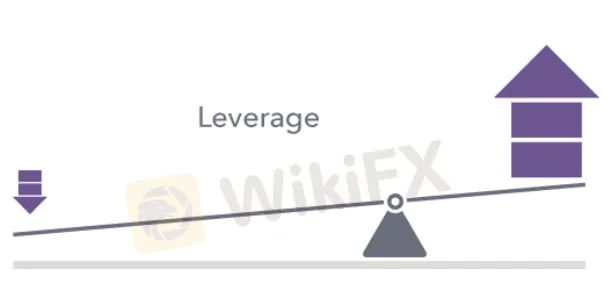 leverage 