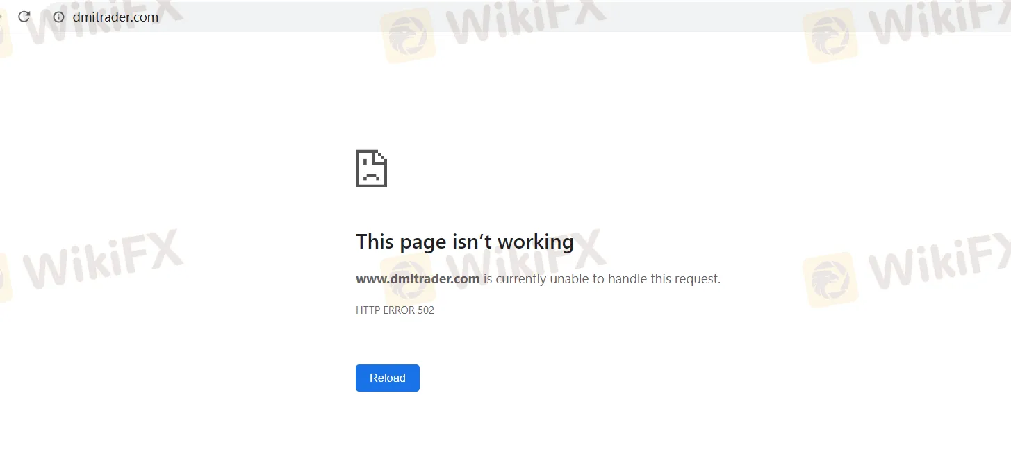 基本信息 基本信息
