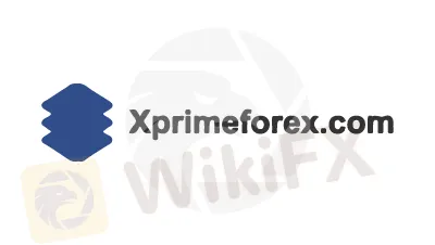 Overview of X PRIME FOREX