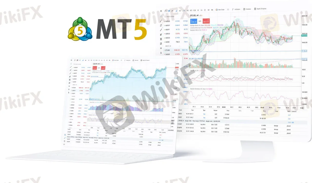 spreads 