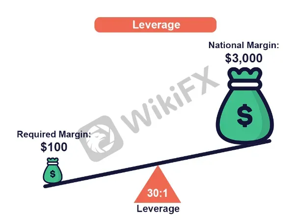 leverage 