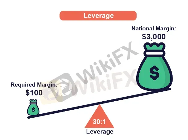 leverage 