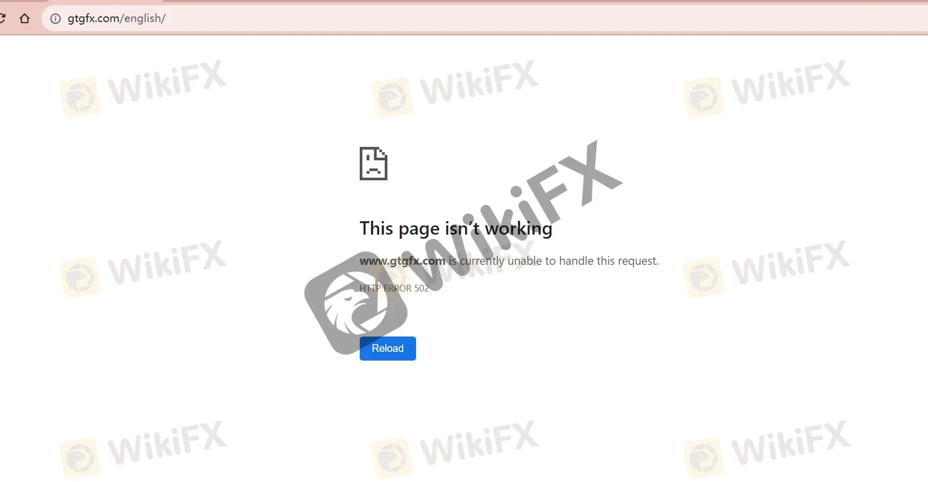 Trang web chính thức không hoạt động Trang web chính thức không hoạt động