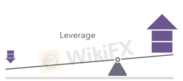 leverage 