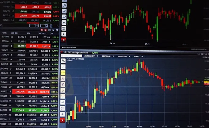 basic-info basic-info