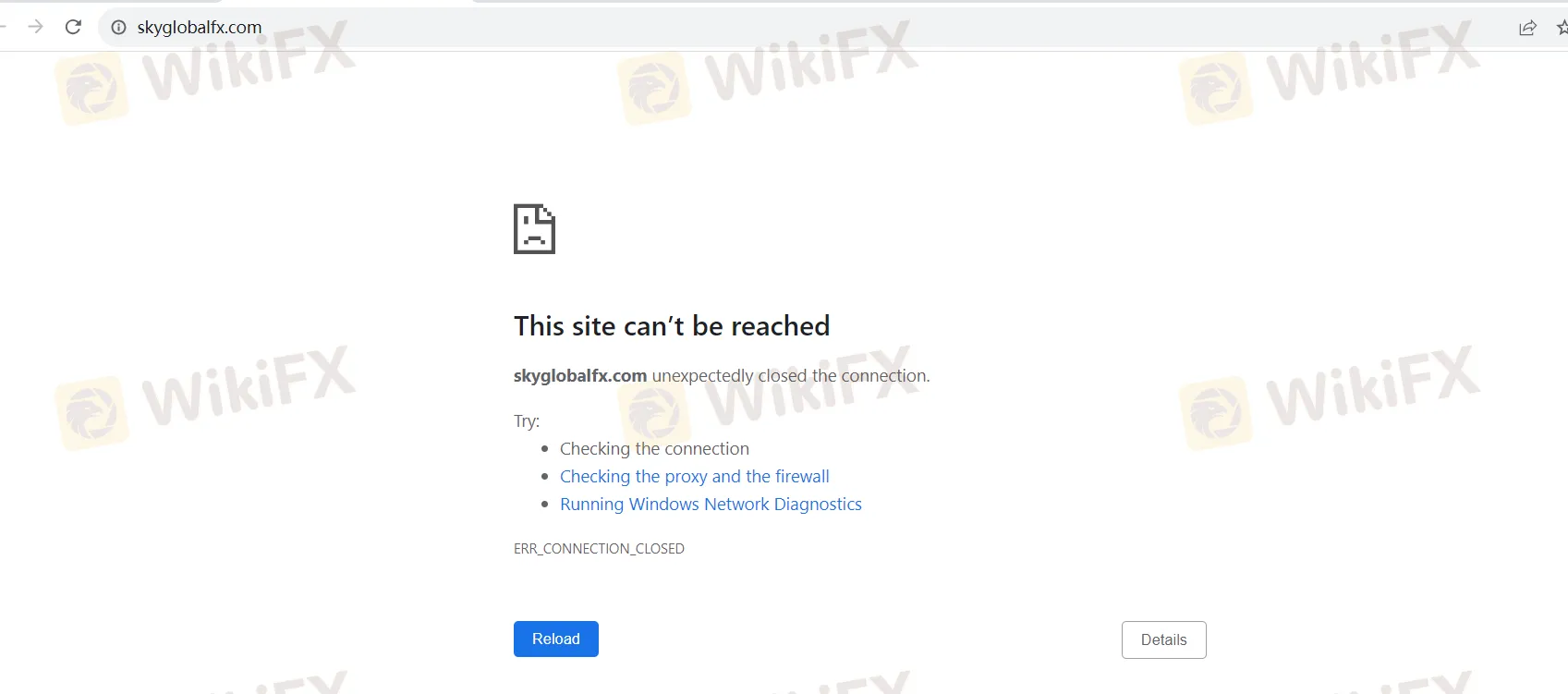 basic-info basic-info