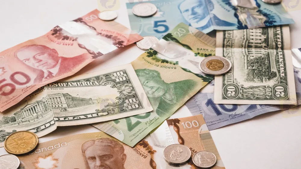 plateforme de trading