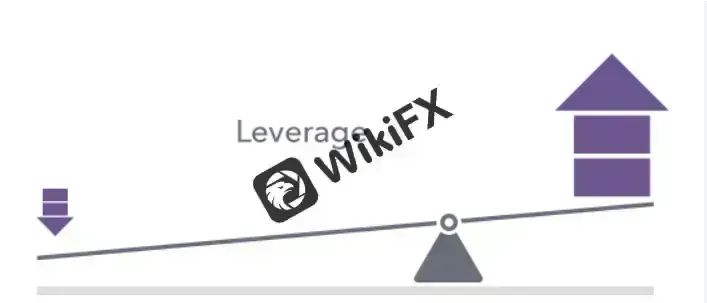 leverage leverage