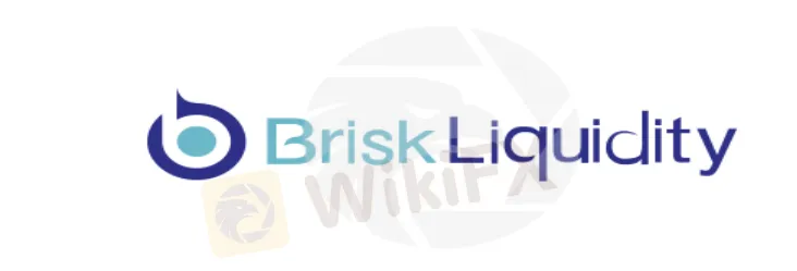Overview of Brisk Liquidity