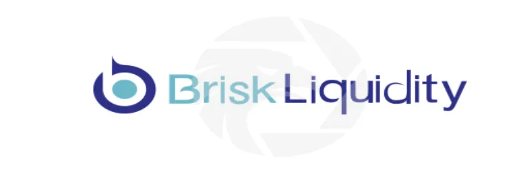 Overview of Brisk Liquidity Overview of Brisk Liquidity