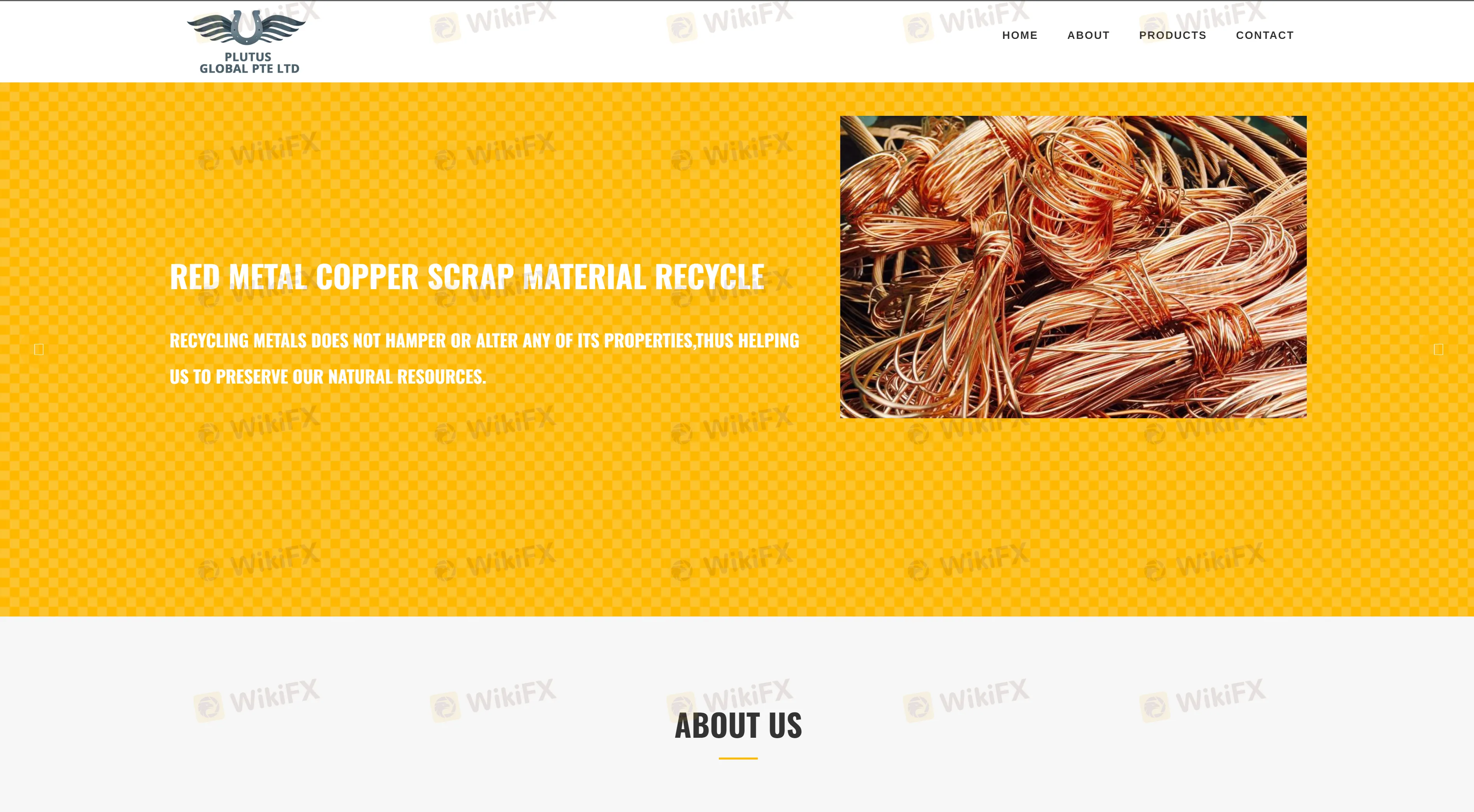 Overview of Plutus global Overview of Plutus global