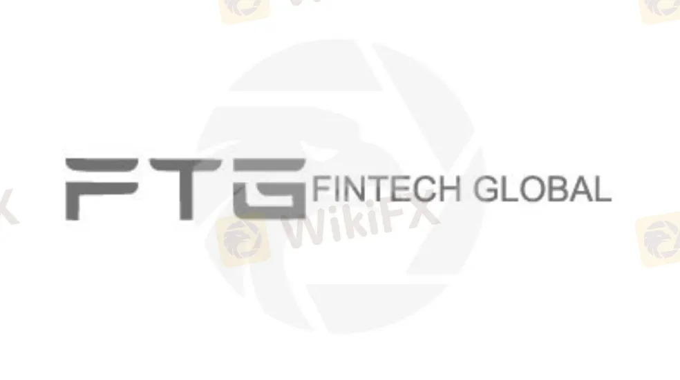 FTG概览