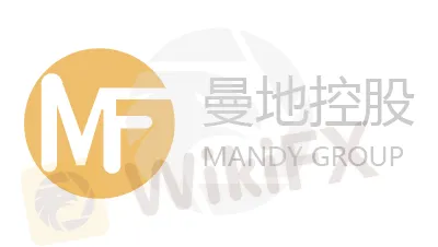 曼地控股 曼地控股