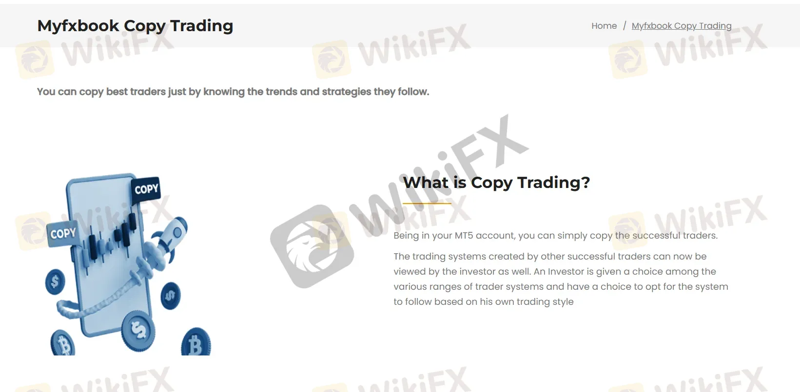 Copy trading Copy trading