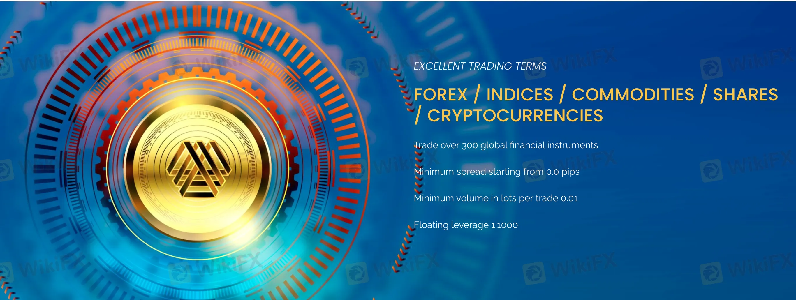市場のインストゥルメンツ 市場のインストゥルメンツ