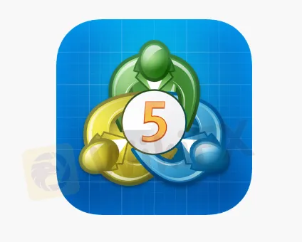 MT5