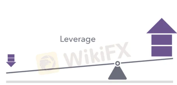 leverage 