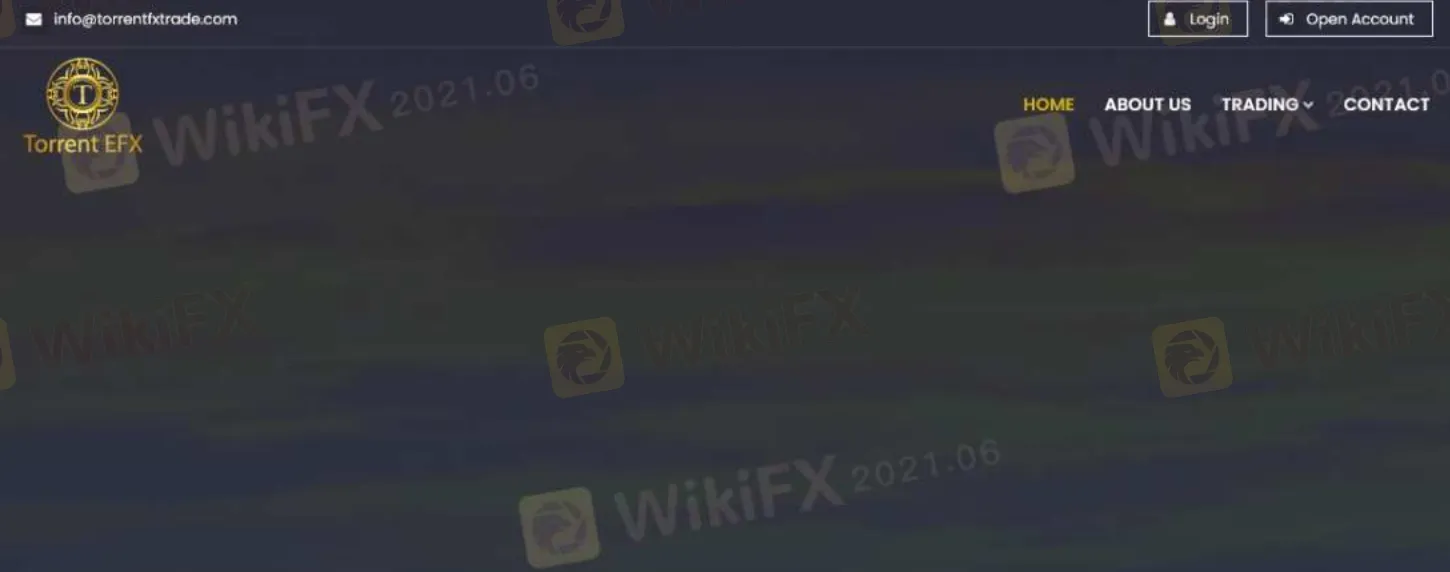 Torrent EFX概述