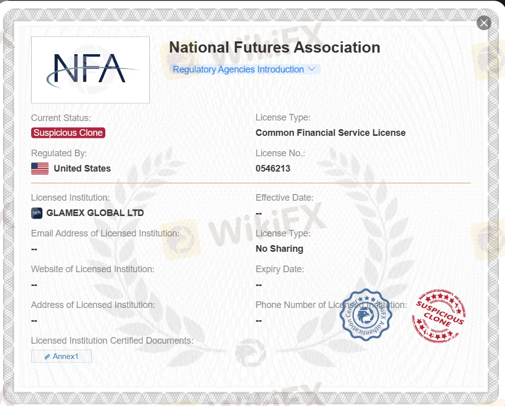 可疑克隆 NFA 执照 可疑克隆 NFA 执照