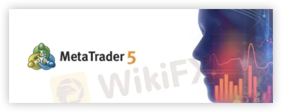Trading Platform Trading Platform