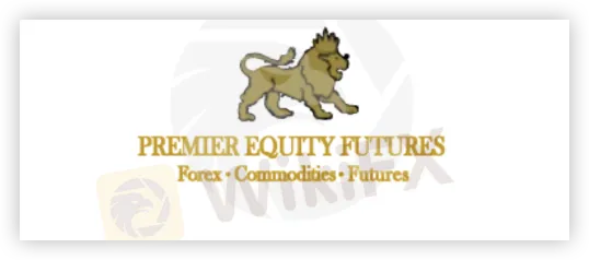 Overview of PREMIER EQUITY