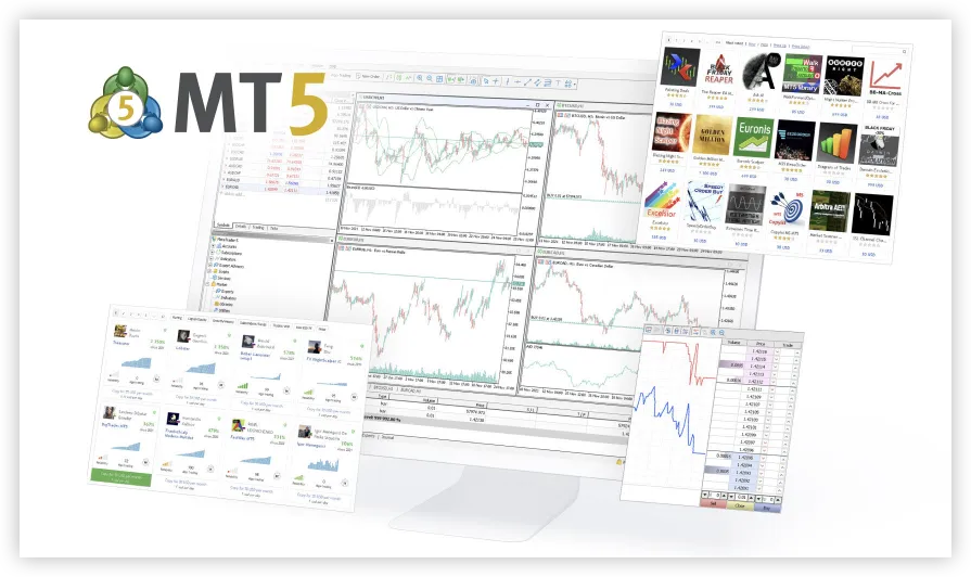 Platform Trading Platform Trading