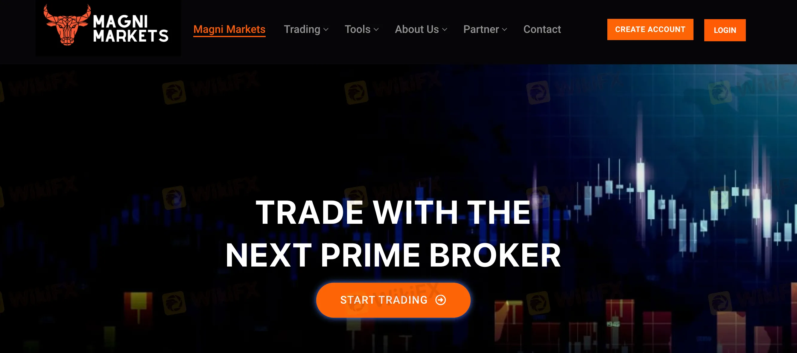 基本情報 基本情報