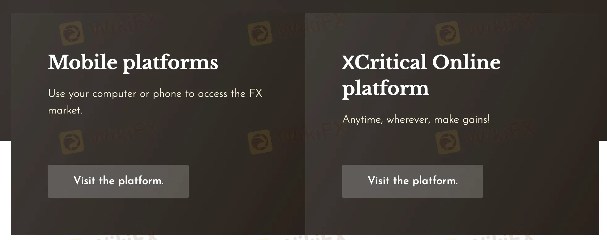 交易平台 交易平台