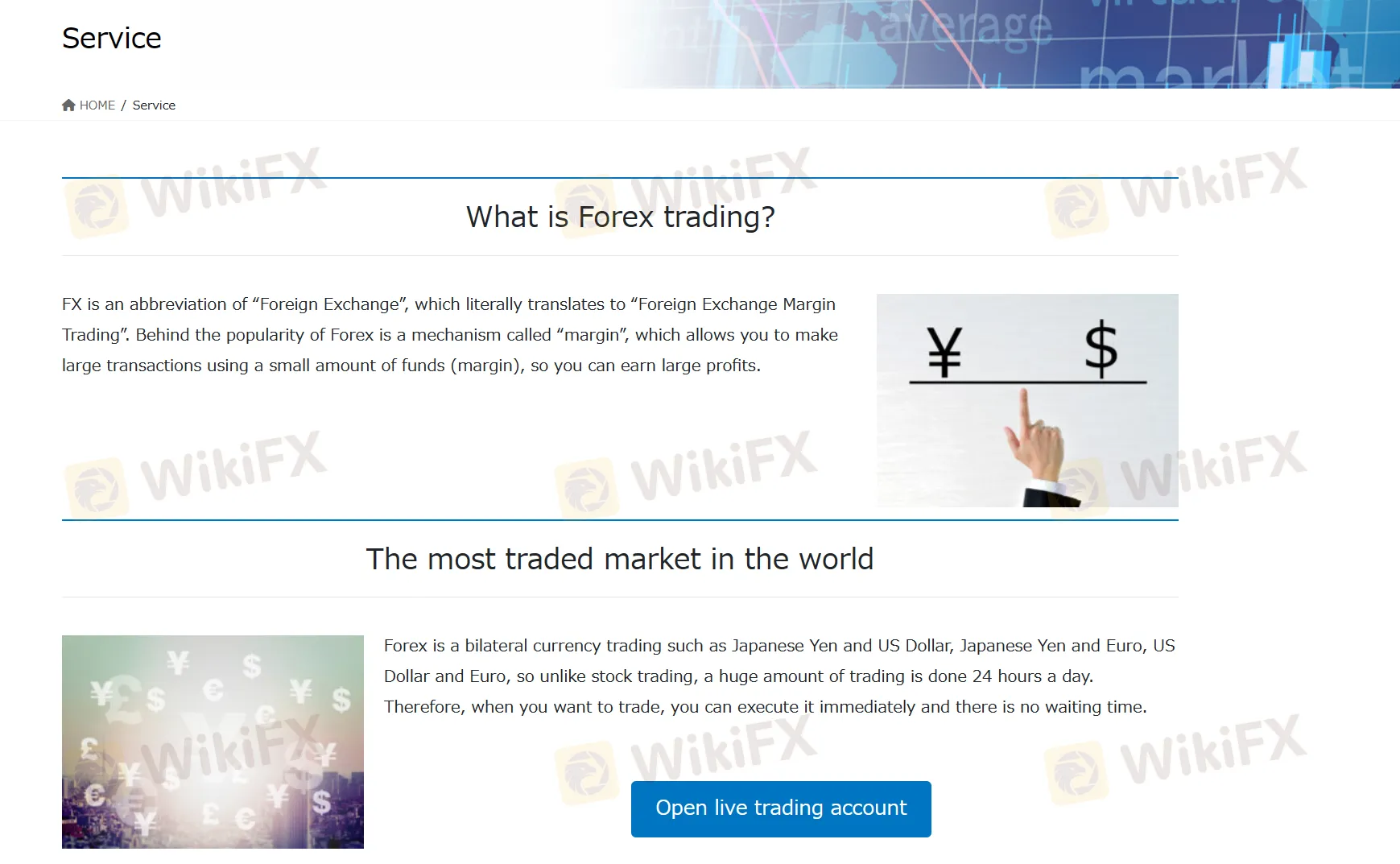 Forex Trading Forex Trading