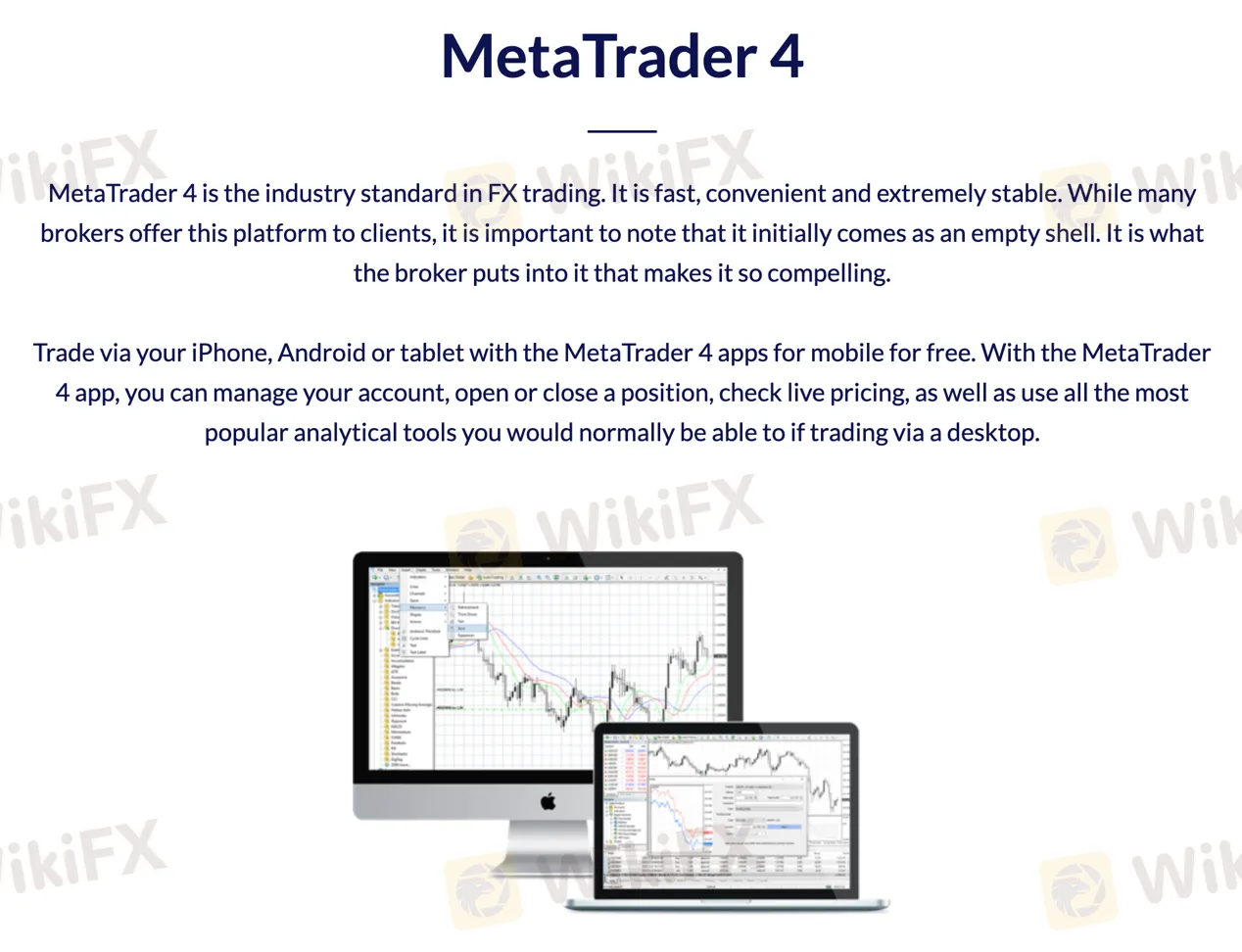 MT4
