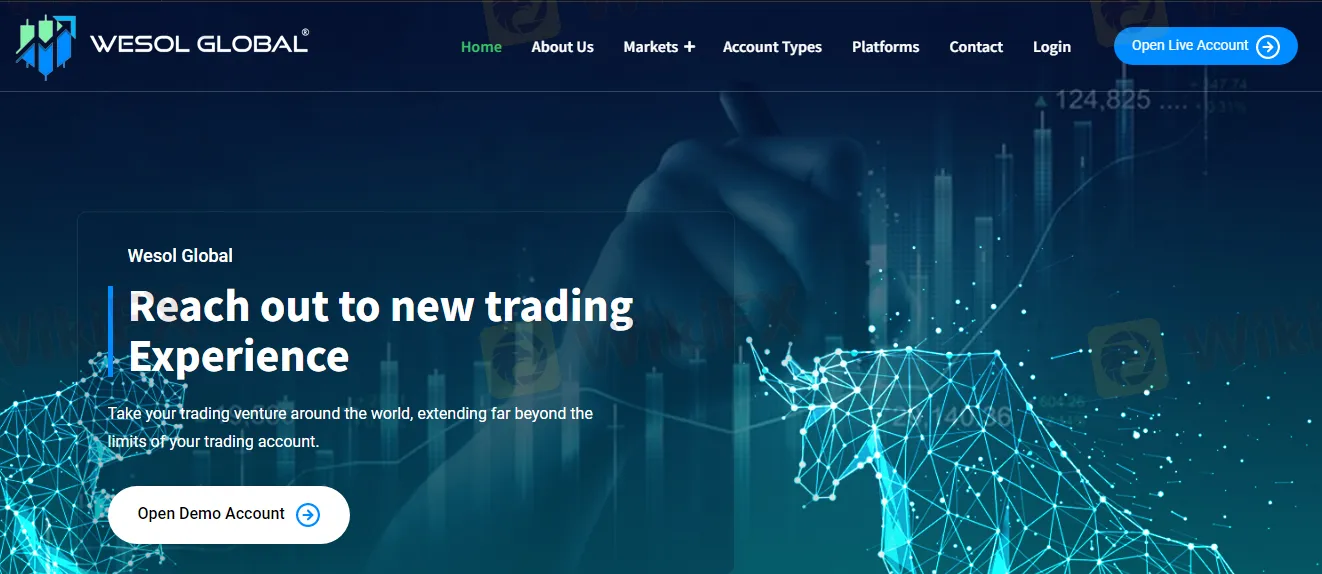 Wesol Global का अवलोकन