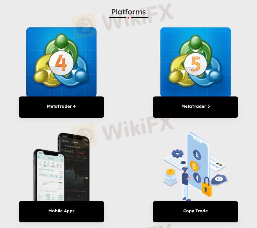 Ticaret Platformu Ticaret Platformu