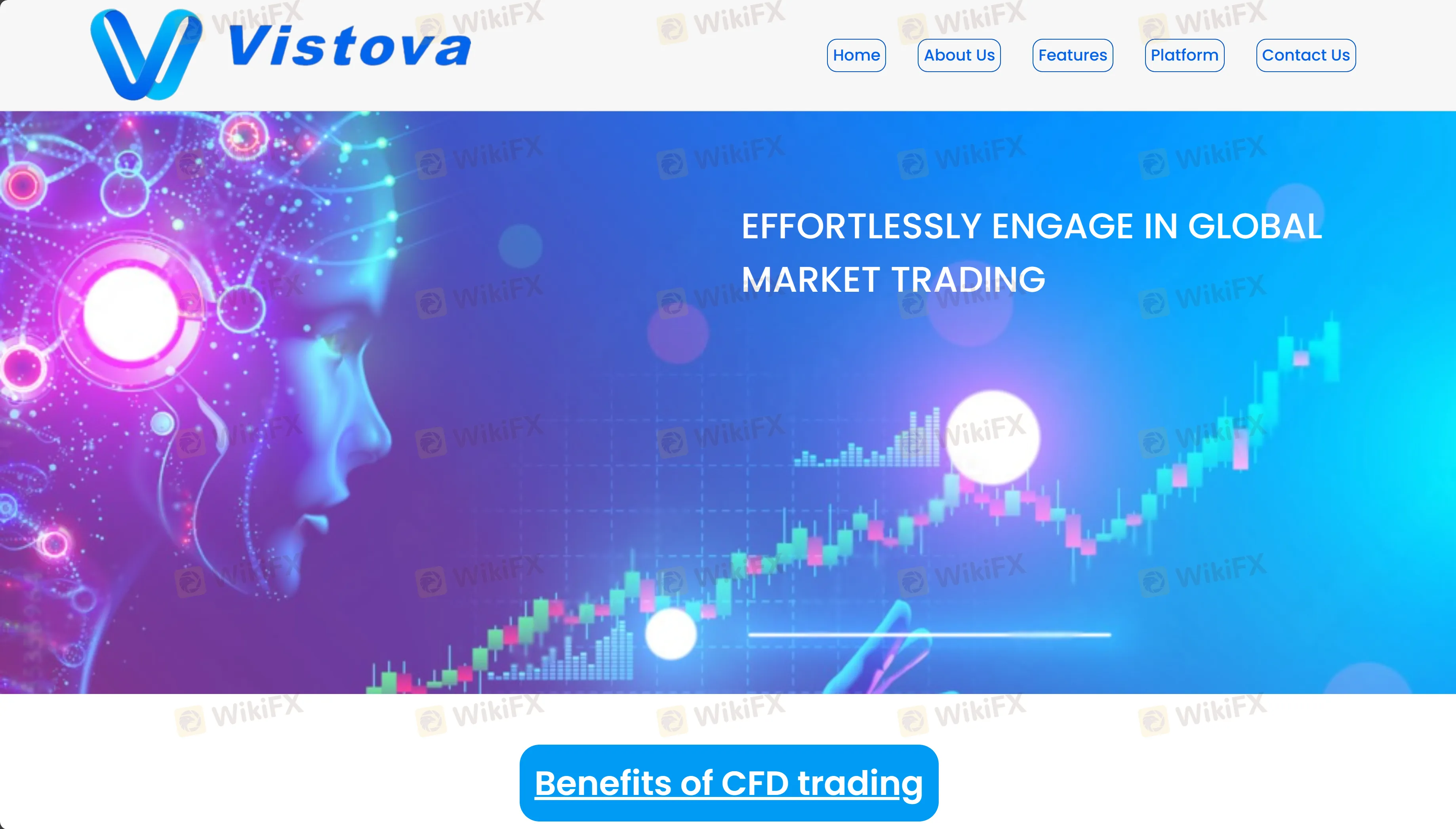 Overview of Vistova