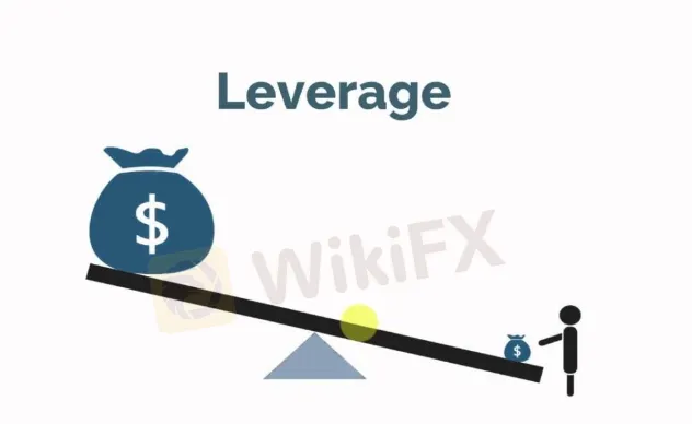 Leverage