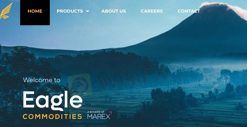 ภาพรวมของ Eagle Commodities ภาพรวมของ Eagle Commodities