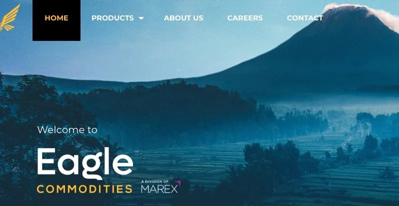Gambaran Eagle Commodities