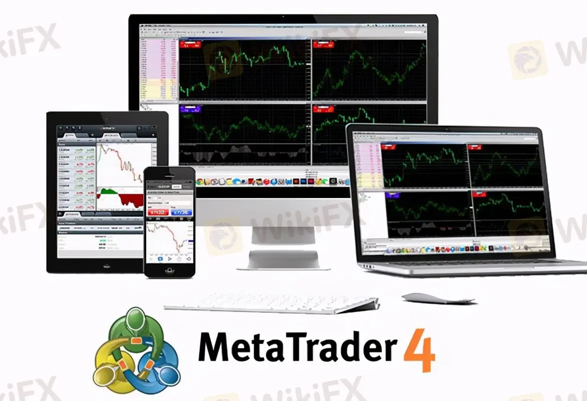 MT4