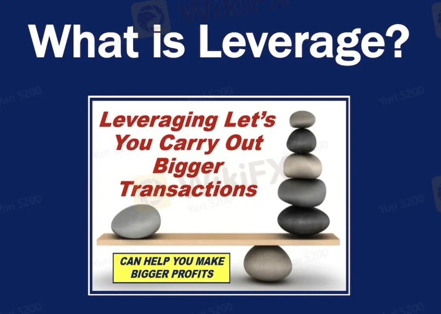 Leverage