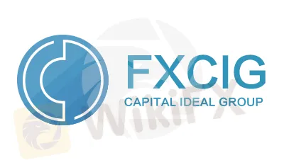 Overview of FXCIG