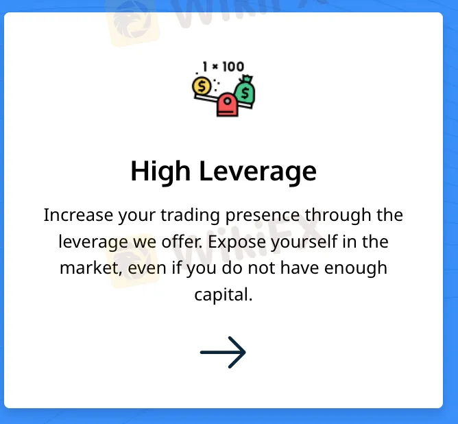 Leverage