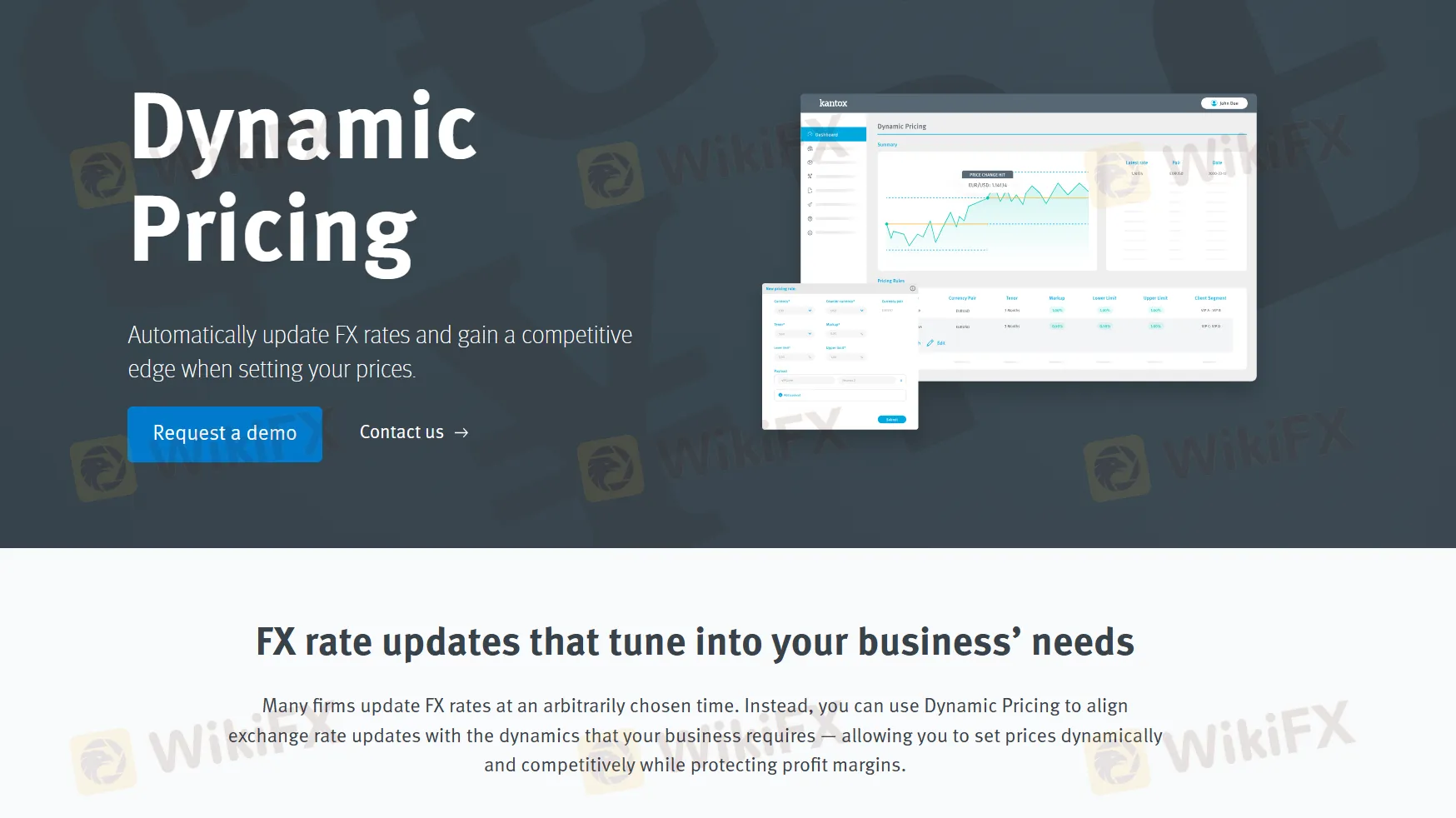 गतिशील मूल्य निर्धारण