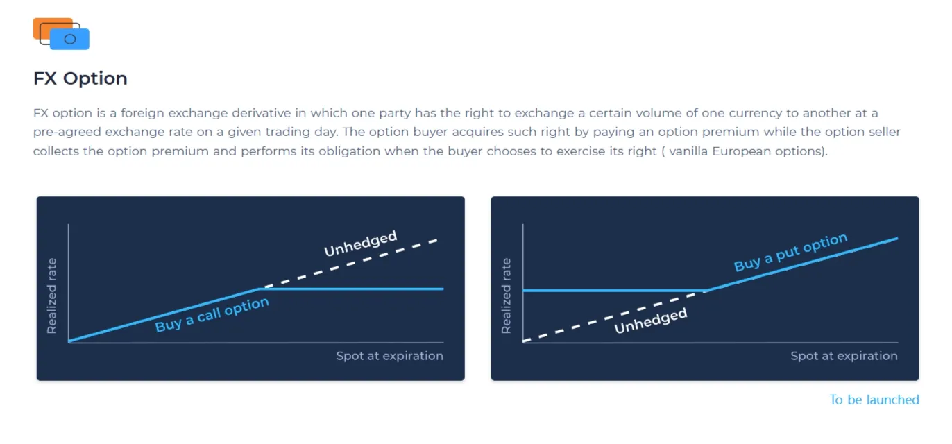 FX Option FX Option