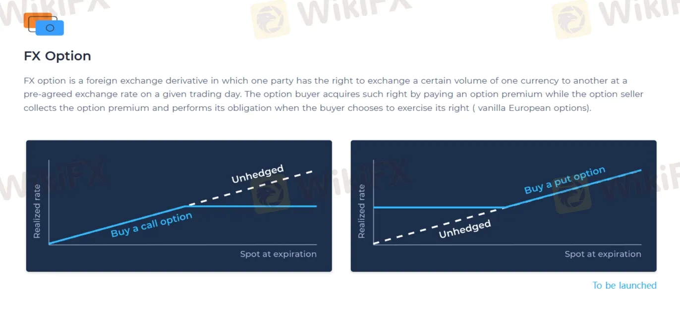 外匯期權 外匯期權