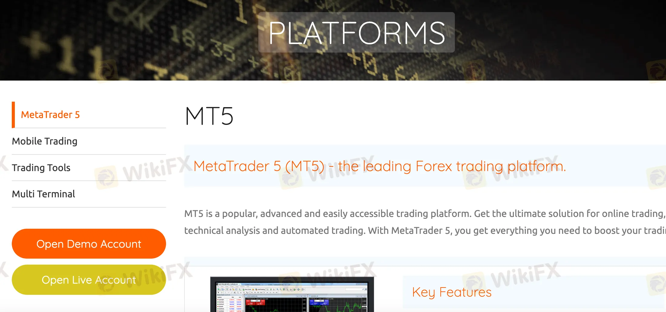 Trading-Platforms Trading-Platforms