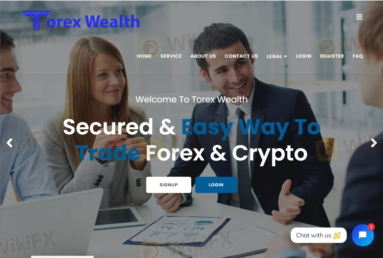 Overview of Torex Wealth